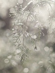 snow에 관한 32개의 최상의 Pinterest 이미지 snow