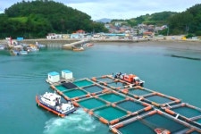 횟집 가면 무조건 ‘이거’였는데 “이제 못 사 먹겠네”…이례적 폭등에 ‘난리’