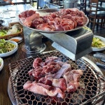 제주 도민들의 찐 맛집 20240519 제주 신례토종닭식당 한라산 산기슭에 위치한 신례토종닭 도민들이 자주 찾는다는 오리고기 맛집입니다 바다가... 