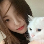 엘리스(ELRIS) on Twitter in 2020 | Cats, Baram, Cutie