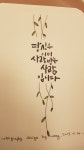 나의 캘리에 있는 지원 최님의 핀