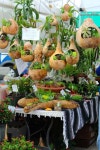 311 best gourds images on Pinterest | 새집, 장식품 및 Fallout gourds