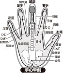 Pin de 금월호 en 지압 | Reflexología, Acupuntura