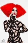 Trinity Taylor The Drag Photographer | 패션, 퀸
