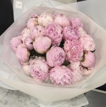 handtieds 꽃다발에 있는 Detable Flower님의 핀 | 꽃다발, 다육 식물, 센터피스