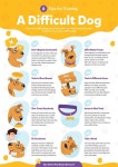 8 Tips for Training a Difficult Dog 8 Tips for Training a Difficult Dog - 2024 | 강아지