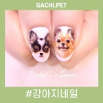 같이펫 on Instagram: “★펫라벨 트렌드★ 🤩 퀄리티 실화냐??🎉【강아지네일】 💅유난스러운듯, 유난스럽지 않은✨✨ 센스있는 개사랑... 