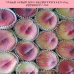34900원 ^ 가마실농장 신옥정님의 3번이나 꼼꼼선별한 딱딱한... 5kg | Fruit, Peach, Food 34900원 ^ 가마실농장 신옥정님의 3번이나... 