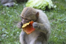 큐티섹시 핑크조이 CutieSexy Pinkjoy | Baby shop, Girls generation taeyeon, Baby girl dress