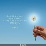 새로운 눈으로 보는 것