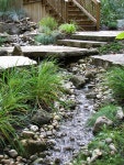 Tips for Building Ponds in Your Backyard | 정원