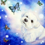 희동이의 꿈 | 수채화 동물, 수채화, 동물