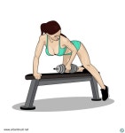 헬스 여성 일러스트 ai 무료다운로드 free fitness girl illustration - 어반브러시