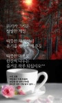 사진에 있는 호현 조님의 핀 | 좋은 아침 인사, 아침 인사, Pc 배경화면