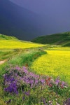 Nature에 관한 259개의 최상의 Pinterest 이미지 | 아름다운 장소, 석양 및 배경화면 Nature