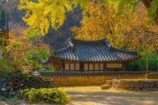 Ungokseowon Confucian Academy, Gyeongju Korea - 2022 | 풍경 사진, 아름다운 풍경, 건물