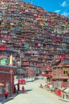Hillside | 풍경 사진, 전통 주택, 도시