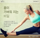 #14일동안 #다이어트 #필라테스 #요가 #핫요가에 있는 14일동안 다이어트님의 핀 | 핫요가, 필라테스, 요가