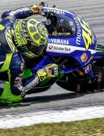 Pin van 코피도둑 op Moto