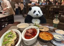 🐼💞🐼 - 2023 | 판다