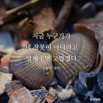 살림의여왕 - ●살림의여왕 (소식... : 카카오스토리