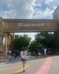 주말 오션월드 놀고온 기록😝🌊🛝🎡🌞✨ 급 정해서 갔는데 재밌게 잘 놀구 왔어요.. 잘 먹구 재밌게 물놀이 하고 댕피곤을 얻었습니다..🫠... 