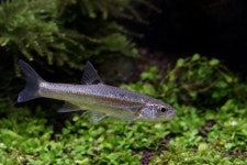 kg_01.jpg (900×600) | 패턴