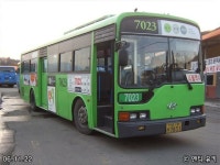 Bus에 있는 8478 K님의 핀 - 2020 | 버스, 6개월, 한국