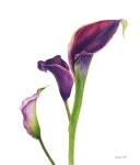 보태니컬 아트에 있는 핀