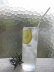 「도기」おしゃれまとめの人気アイデア｜Pinterest｜근섭 | 枯れた花, 赤 花, パフィオペディルム
