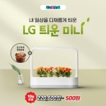 식물 킬러 Bye~~ 흙먼지 걱정 없이 씨앗키트 하나로 깔끔하게! 식물 초보자에게도 좋은 플랜테리어 아이템 나의 작은 식물 생활 ... KT,5시핫딜,...