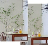 【テグ1907】-4- 오그니메모(ognimemo) / 덤보커피(Dumbo coffee)... (ognimemo)  / 덤보커피(Dumbo coffee) | ヒビ... 