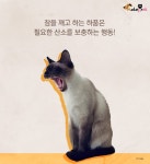내가 쓰담쓰담해줄때마다 고양이가 하품을 해..그냥 졸려서 그런걸까? - 악플달면 쩌리쩌려버려 - ＊여성시대＊ 차분한 20대들의 알흠다운 공간... 