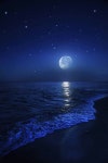 M에 관한 28개의 최상의 Pinterest 이미지 | 달빛, La luna 및 Sun moon M