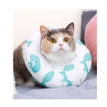 Healing Time 도넛 쿠션 넥카라 - 아쿠아폭스 - 2020 | 고양이 상자, 고양이 장난감, 고양이