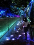 landscape에 있는 Suyue Liu님의 핀 - 2022 | 야외, 조경, 야간 조명