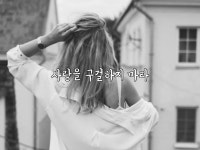 사랑을 구걸하지 마라 | 인생 레슨, 명언, 영감을 주는 인용구