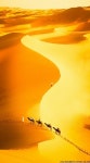 Photo-mountain&sea,river,etc에 있는 Cuslee님의 핀 - 2020 | 사막 풍경, 풍경 사진, 풍경화