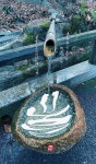 IPDC-20201129 -물 | 물