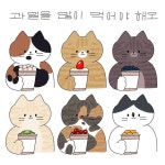 고양이다방 on Instagram: “추울수록 힘나게!🍇🍓🍒🍑🍌🥝 - - -…”