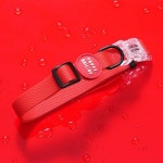 반려동물을 위한 예쁜 강아지용품 라이프스타일 디자인브랜드 | 퍼피갤러리 | 강아지 용품, 중형견, 강아지 옷