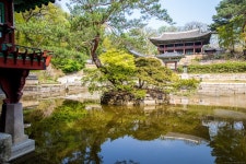 창덕궁과 후원, 비원 #Changdeokgong and #secret... 하지만 비원으로 잘 알려진 곳이다.... 아름다운 비원의 모습을 감상하시기... 