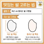 쌀맛나는세상동 | 윤기 좌르르 꿀맛나는 쌀 고르는 꿀팁 - 지식사이트