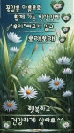 문인화에 있는 채수정님의 핀 - 2025 | 꽃 미학, 꽃 사진, 사진