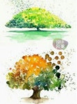 Fa에 있는 Zsuzsa Bernát님의 핀 | 수채화