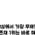모여봐요 댕댕이숲 on Instagram: 무해한 뽀시래기 #귀여운 #말티즈그램 ⠀ 댕댕이숲... 🐶 제보는 #댕댕이숲 태그 부탁드려요... 