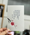 수채화 캘리그라피