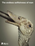 go vegan !에 관한 492개의 최상의 Pinterest 이미지 | 농장, 농장 동물 및 소 go vegan !