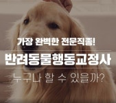 반려동물행동교정 자격증 상담 서비스 반려동물행동교정 자격증 상담 서비스 | Views, Index, Promotion