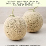 2022-06-09 / 29800원 / 곰곰 곡성 멜론, 3kg(2입), 1박스 | Fruit, Cantaloupe, Food